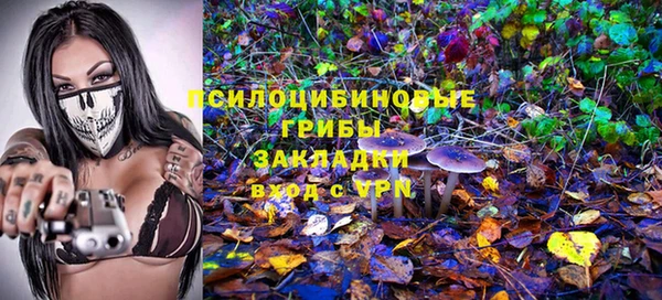 ALPHA-PVP Нягань