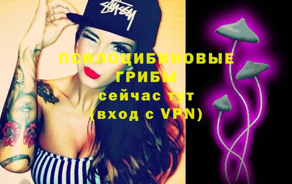 ешки Няндома