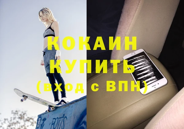 ешки Няндома