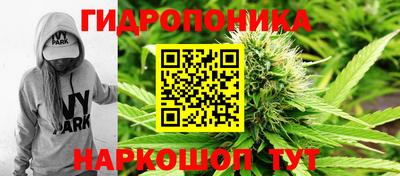 2c-b Чапаевск