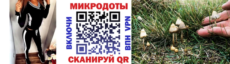 Галлюциногенные грибы ЛСД Тутаев