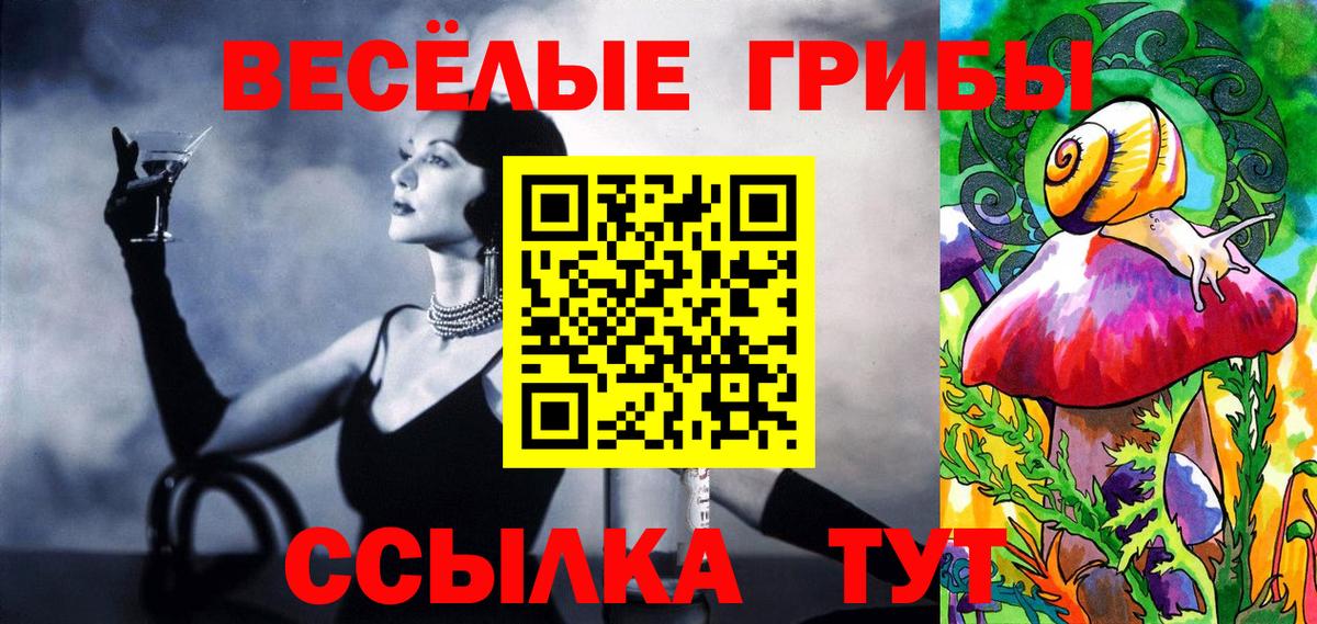Галлюциногенные грибы Psilocybine cubensis Тутаев